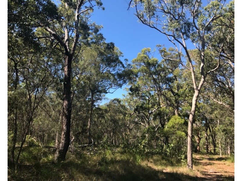 Agnes Water QLD 4677