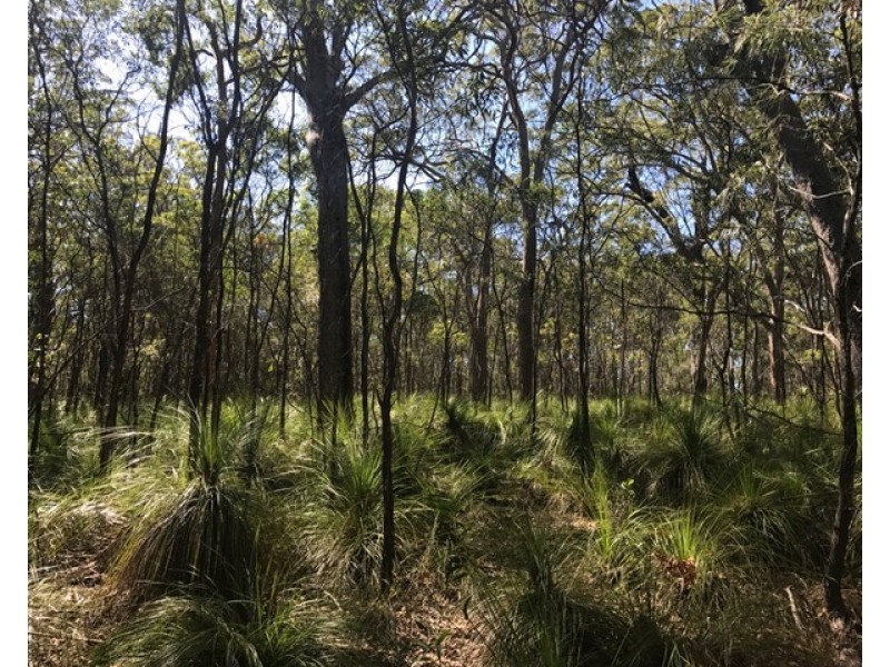 Agnes Water QLD 4677