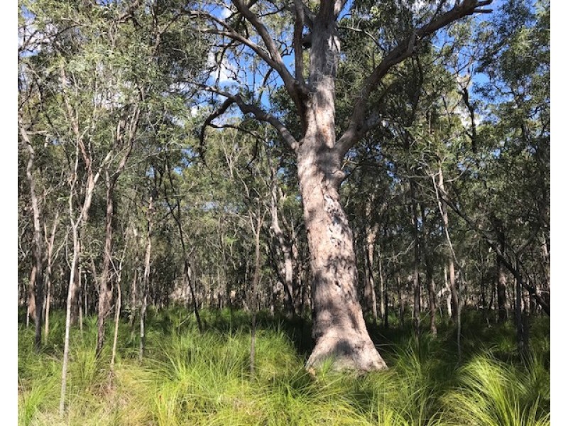 Agnes Water QLD 4677