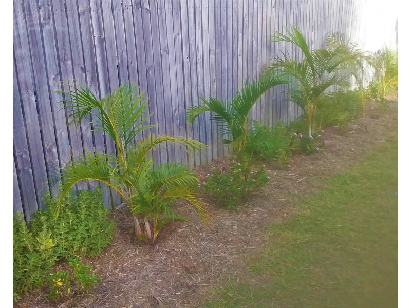 29 Palm Court, Agnes Water QLD 4677