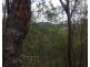 Lot 42 Creevey Drive, Captain Creek QLD 4677