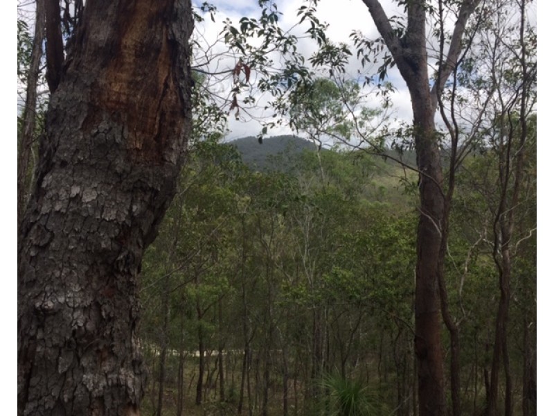 Lot 42 Creevey Drive, Captain Creek QLD 4677