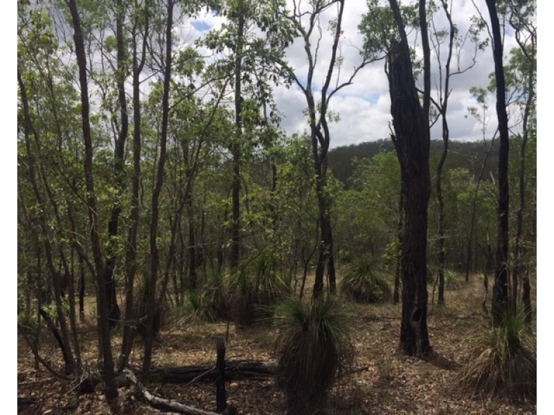 Lot 42 Creevey Drive, Captain Creek QLD 4677