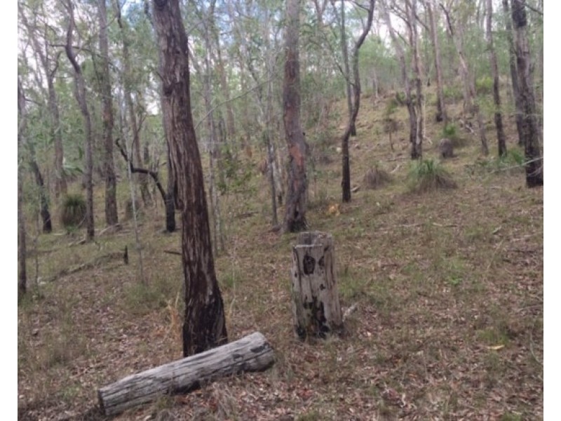 Lot 42 Creevey Drive, Captain Creek QLD 4677