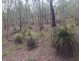 Lot 42 Creevey Drive, Captain Creek QLD 4677