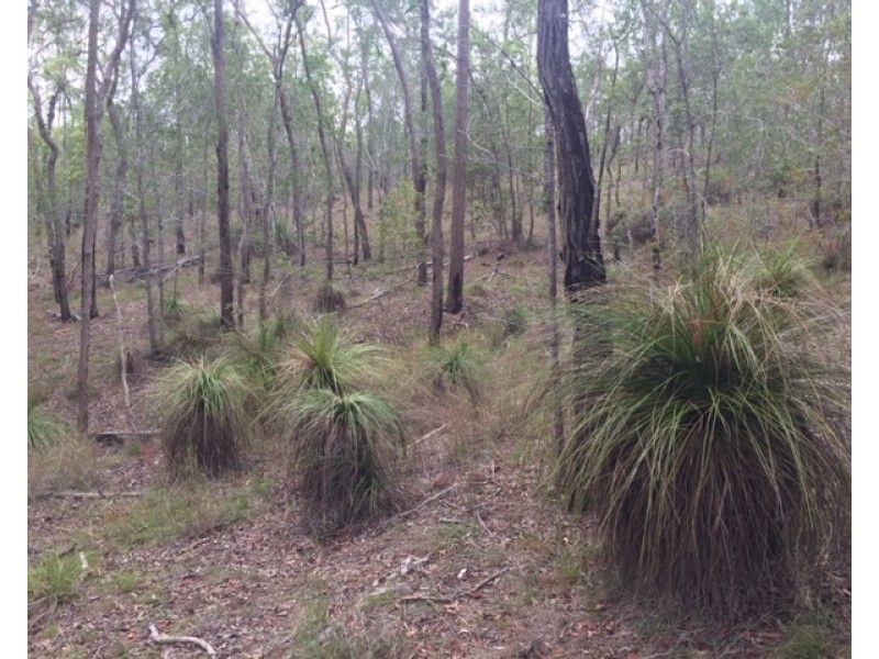 Lot 42 Creevey Drive, Captain Creek QLD 4677