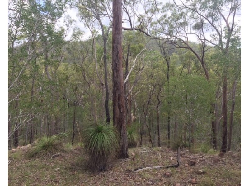 Lot 42 Creevey Drive, Captain Creek QLD 4677