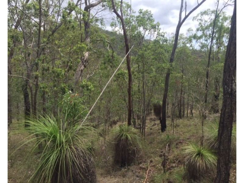 Lot 42 Creevey Drive, Captain Creek QLD 4677