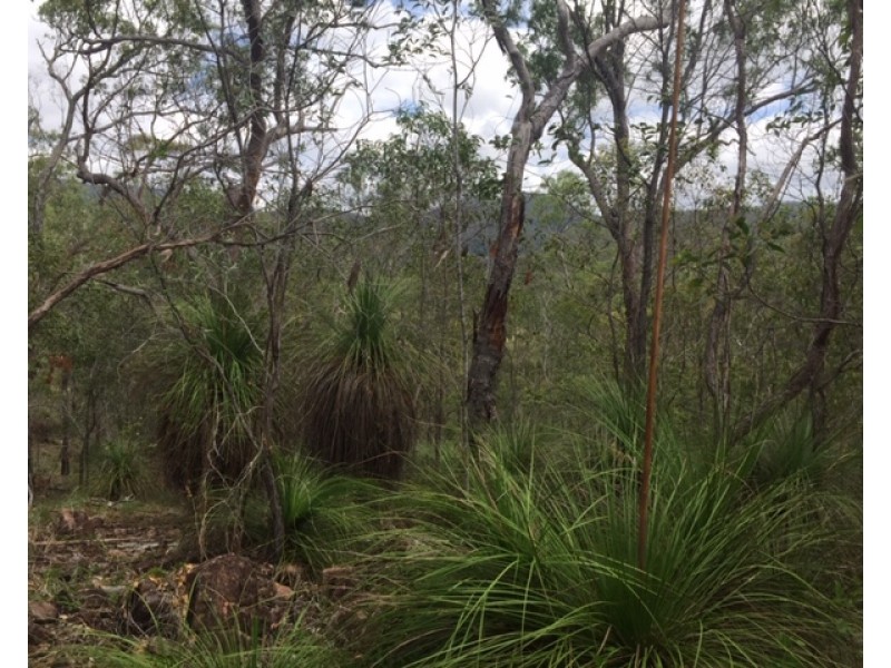Lot 42 Creevey Drive, Captain Creek QLD 4677