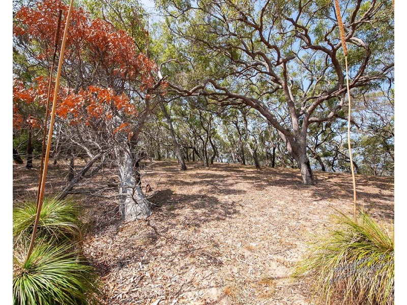 143 Bloodwood Ave South, Agnes Water QLD 4677