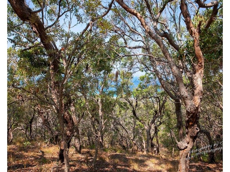 143 Bloodwood Ave South, Agnes Water QLD 4677