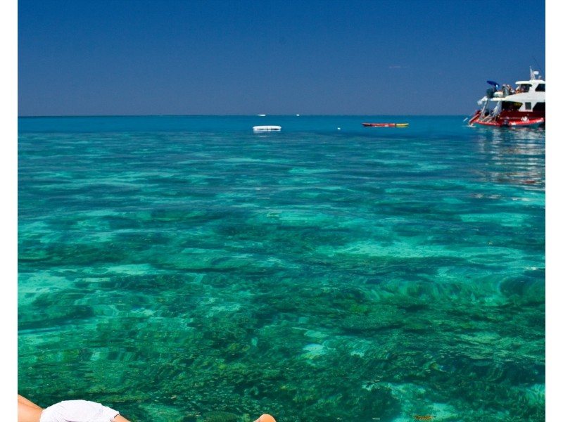 143 Bloodwood Ave South, Agnes Water QLD 4677