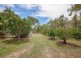 195 Anderson Way, Agnes Water QLD 4677