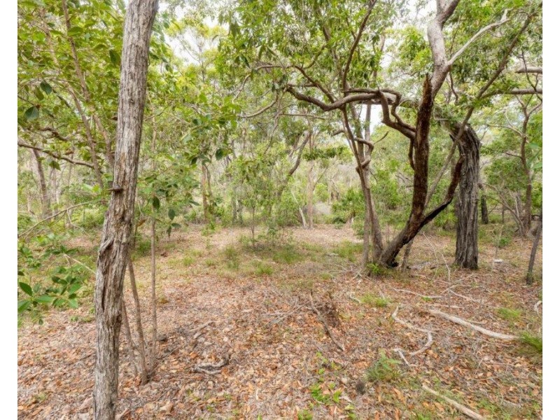 Lot 489 Wilson Drive, Agnes Water QLD 4677