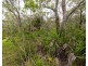 Lot 489 Wilson Drive, Agnes Water QLD 4677
