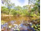 188 Rafting Ground Road, Agnes Water QLD 4677