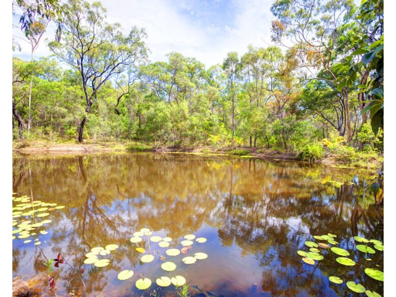 188 Rafting Ground Road, Agnes Water QLD 4677