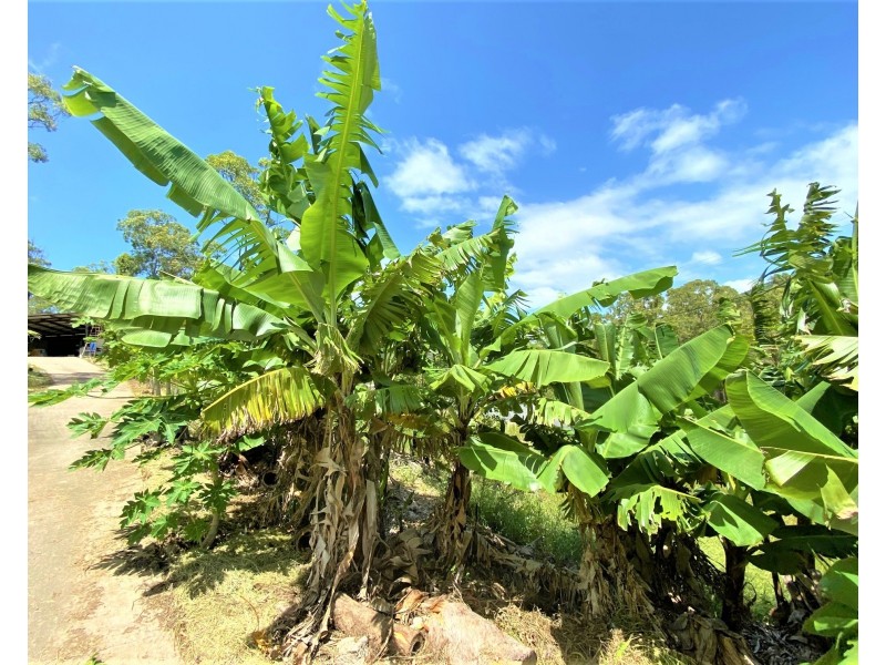 Agnes Water QLD 4677