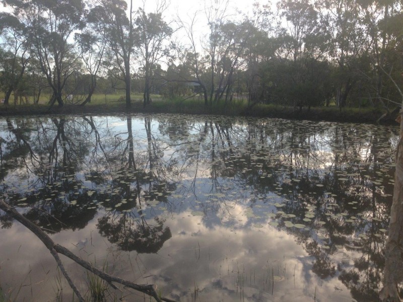 Agnes Water QLD 4677