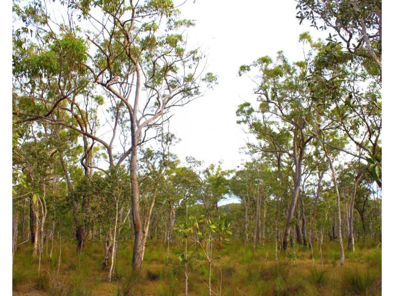 Agnes Water QLD 4677