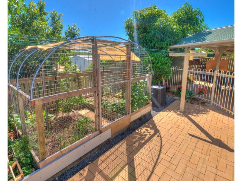 5 Webster Court, Agnes Water QLD 4677