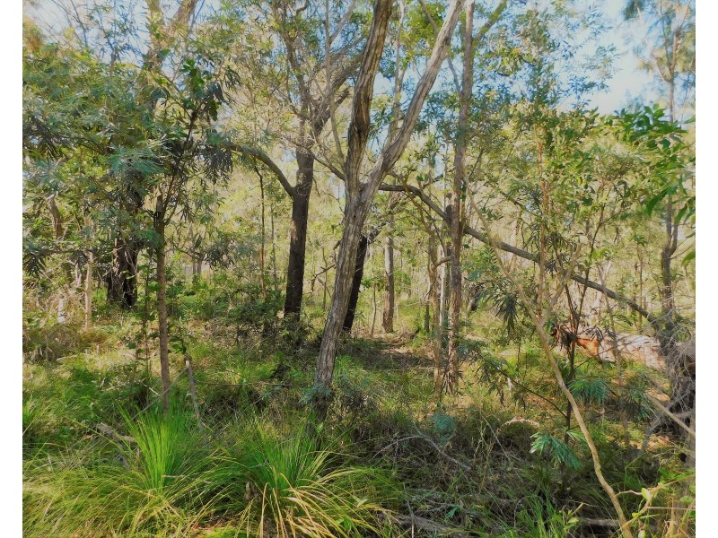 81 Rafting Ground Road, Agnes Water QLD 4677