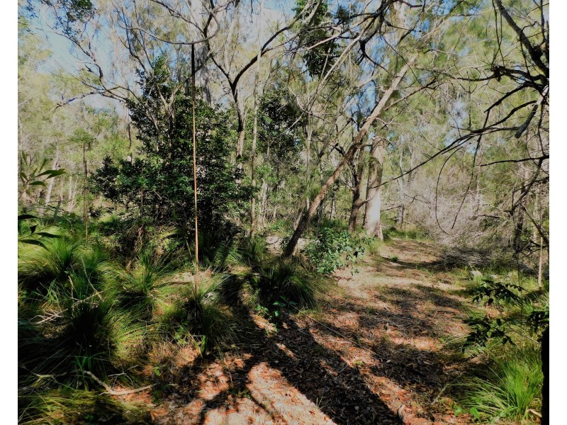 81 Rafting Ground Road, Agnes Water QLD 4677