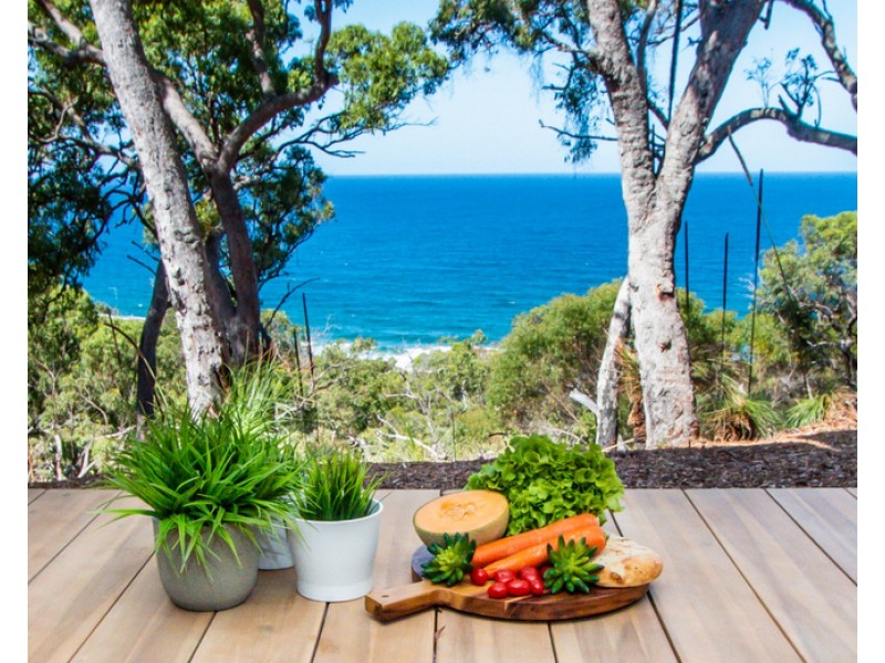 48 Bloodwood Avenue, Agnes Water QLD 4677