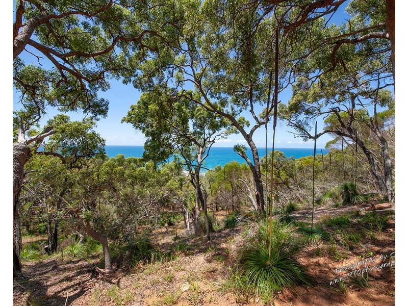 48 Bloodwood Avenue, Agnes Water QLD 4677