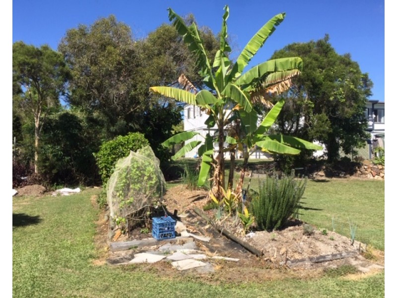 72 (L296) STREETER DR, Agnes Water QLD 4677