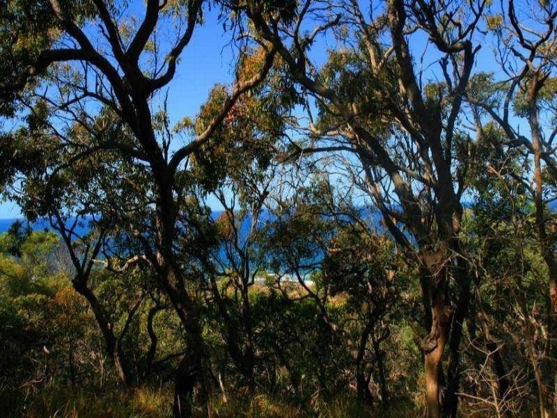 Lot 142 Bloodwood Ave Sth Sunrise at 1770, Agnes Water QLD 4677