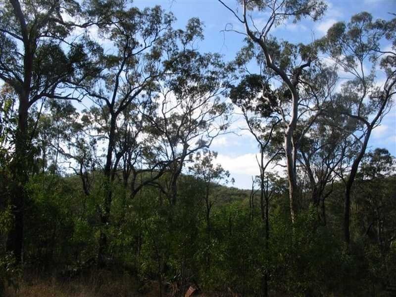 100 Range Road, Captain Creek QLD 4677