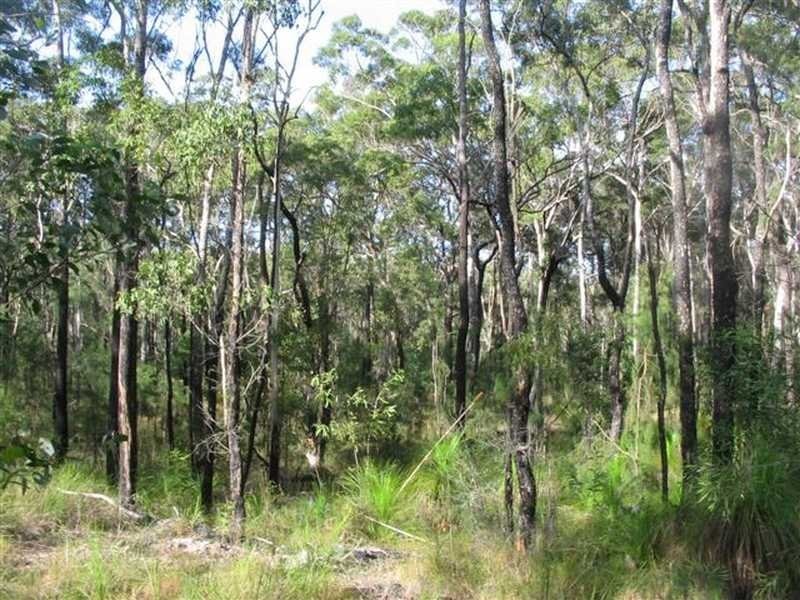 100 Range Road, Captain Creek QLD 4677