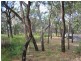 Lot 48, 552 Springs Road, Agnes Water QLD 4677