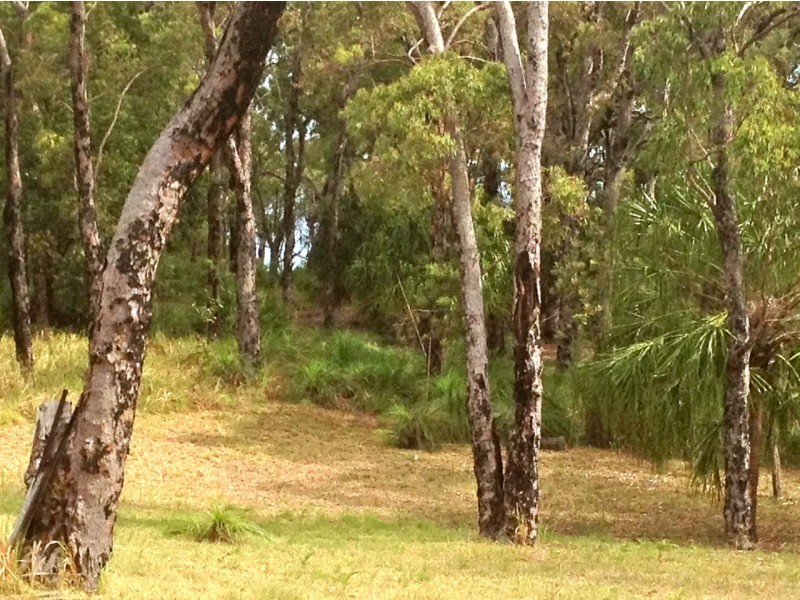 lot 27 Bloodwood Ave Nth Sunrise, Agnes Water QLD 4677
