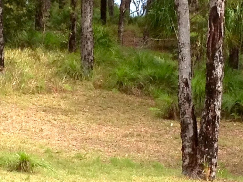 lot 27 Bloodwood Ave Nth Sunrise, Agnes Water QLD 4677