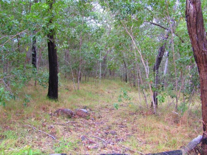 Lot 51 Dillon Road, Captain Creek QLD 4677