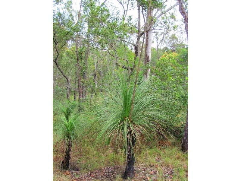 Lot 51 Dillon Road, Captain Creek QLD 4677