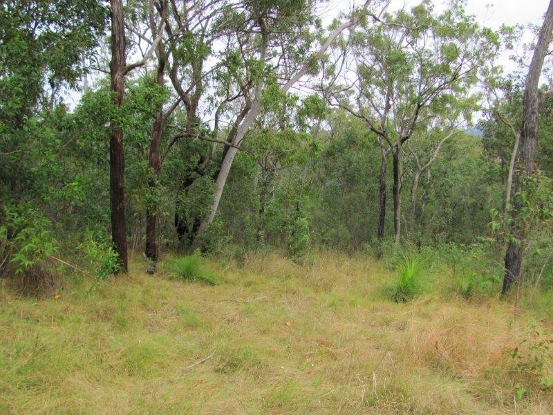 Lot 51 Dillon Road, Captain Creek QLD 4677