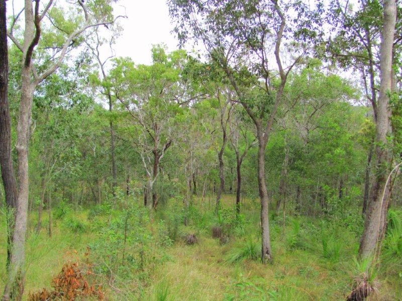 Lot 51 Dillon Road, Captain Creek QLD 4677