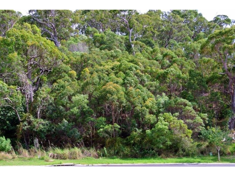 3 Bayview Cl, Agnes Water QLD 4677