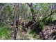 316 Anderson Way, Agnes Water QLD 4677