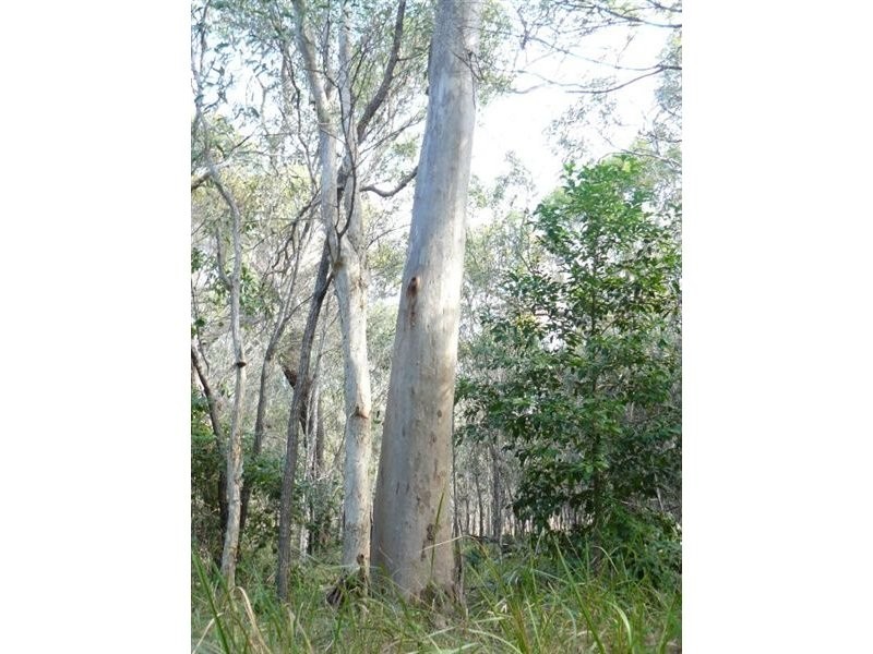 Lot 251 Allingham, Agnes Water QLD 4677