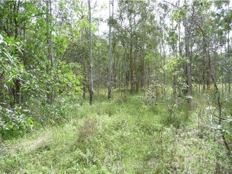 Lot 29 Creevey Drive, Captain Creek QLD 4677