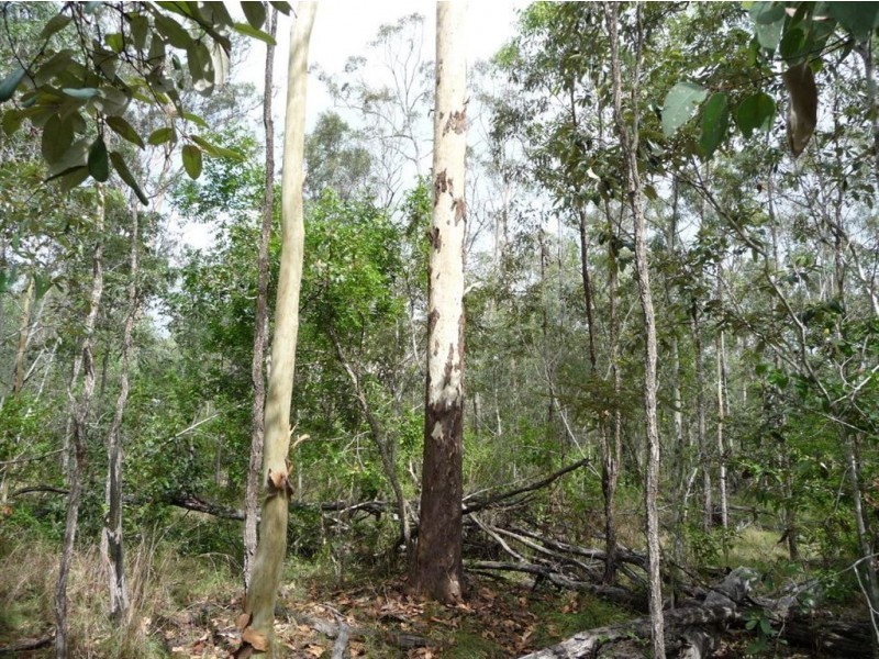 Lot 29 Creevey Drive, Captain Creek QLD 4677