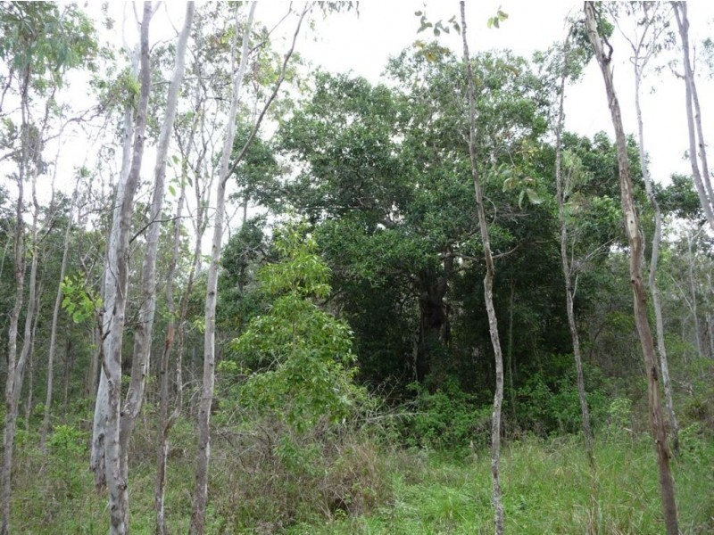 Lot 29 Creevey Drive, Captain Creek QLD 4677