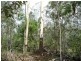 Lot 29 Creevey Drive, Captain Creek QLD 4677