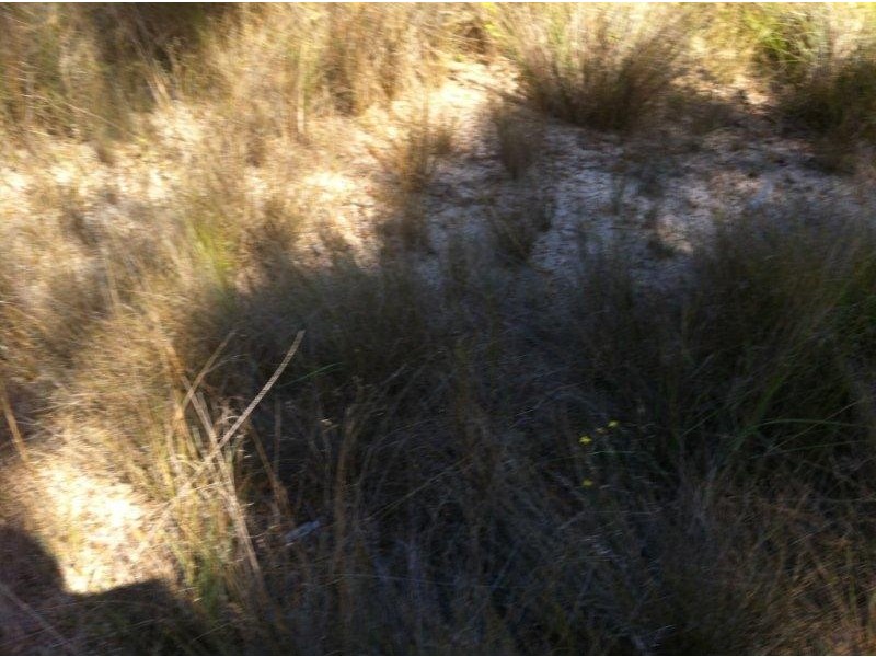 Lot 2 Round Hil Road, Agnes Water QLD 4677