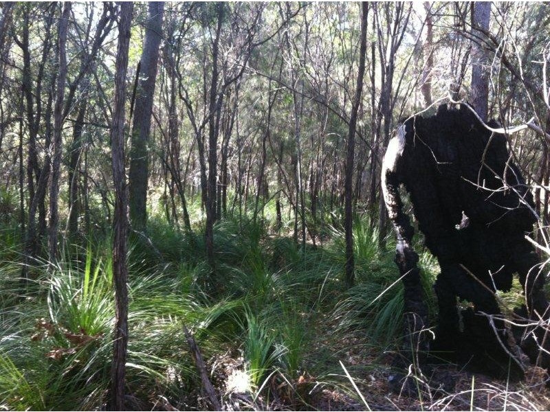 Lot 2 Round Hil Road, Agnes Water QLD 4677