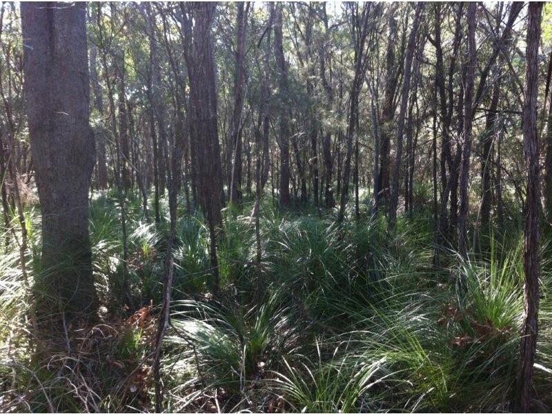 Lot 2 Round Hill Road, Agnes Water QLD 4677